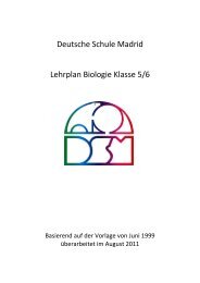 Lehrplan Klasse 5 und 6 - Deutsche Schule Madrid