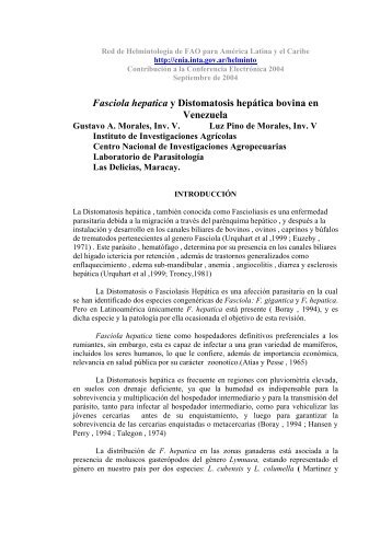 Fasciola hepatica y Distomatosis hepÃ¡tica bovina en Venezuela