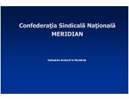 Industria Miniera din Romania - CSN Meridian