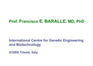 Prof. Francisco E. BARALLE, MD, PhD - G8-UNESCO World Forum on