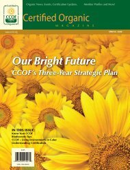 Our Bright Future CCOF's Three-Year Strategic Plan