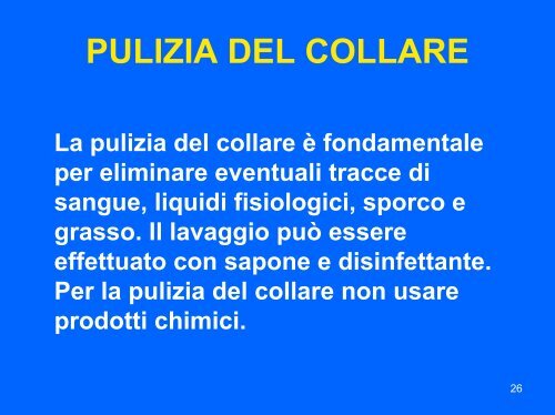 Il collare cervicale