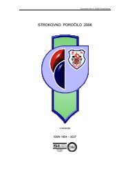 STROKOVNO POROČILO 2006 - ZD dr. Adolfa Drolca, Maribor