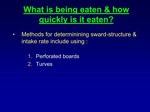 14. Measuring Feed Intake - Department of Animal Sciences ...