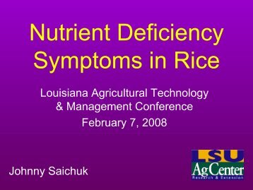 Nutrient Deficiency Symptoms in Rice - Louisiana Agricultural ...