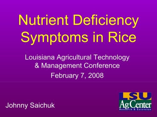 Nutrient Deficiency Symptoms in Rice - Louisiana Agricultural ...