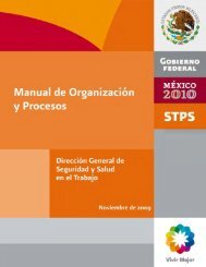 Manual de OrganizaciÃ³n y Procesos de la DirecciÃ³n General de ...