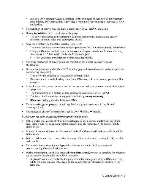 CHAPTER 17 FROM GENE TO PROTEIN