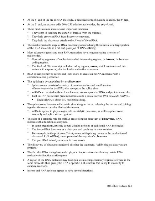 CHAPTER 17 FROM GENE TO PROTEIN