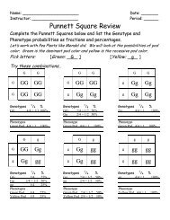 Punnett Square Review