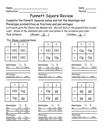 Punnett Square Review