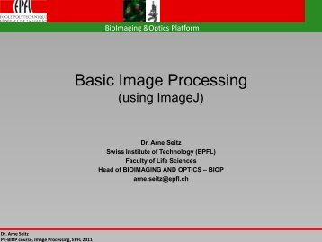 Basic Image Processing (using ImageJ) - BioImaging and Optics ...