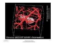 Osnove slikovnih tehnik v biomedicini - IJS