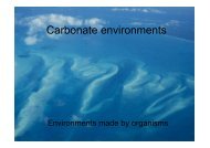 Carbonate environments