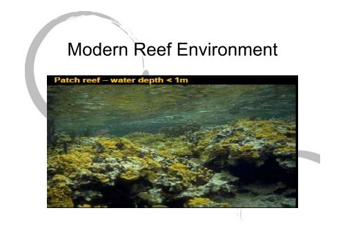 Carbonate environments