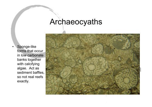 Carbonate environments