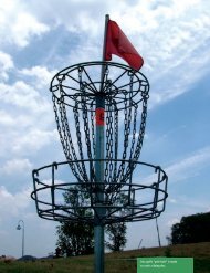 Disc golf's “pole hole” - Professional Disc Golf Association