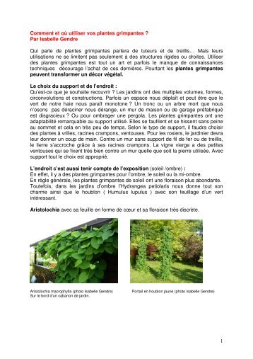 Plantes grimpantes et compagnies.pdf - rts.ch