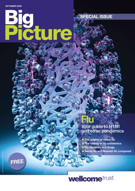 Big Picture on Influenza - Wellcome Trust
