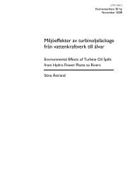 Stina Ãstrand - CivilingenjÃ¶rsprogrammet i miljÃ¶- och vattenteknik