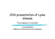CNS presentation of Lyme disease