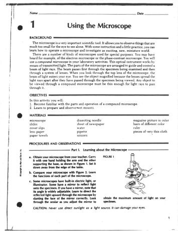 ' 1 Using the Microscope - Fcserver.nvnet.org
