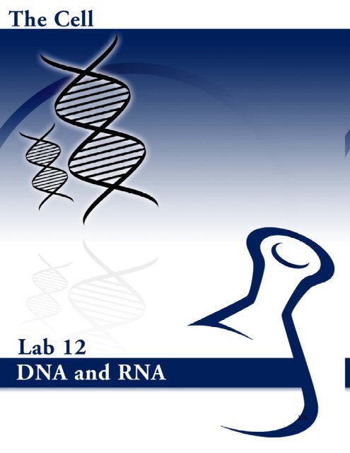 Lab # 12: DNA and RNA - eScience Labs