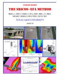 The Sricos-Efa Method Summary Report - Scour and Erosion
