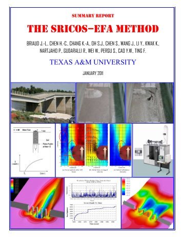 The Sricos-Efa Method Summary Report - Scour and Erosion