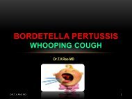 BORDETELLA PERTUSSIS