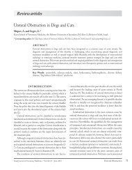 Ureteral Obstruction in Dogs and Cats Review articles