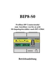 BIP8-S0 - Berg