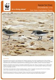 Shorebirds of the - wwf - Australia