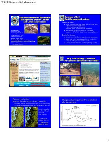Soil Improvement for Stormwater Management - David McDonald