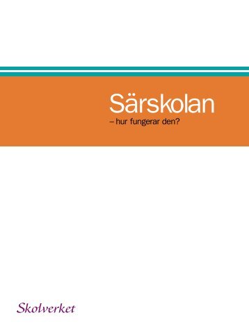 SÃ¤rskolan - hur fungerar den?