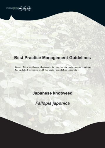 Best Practice Management Guidelines Japanese knotweed Fallopia ...