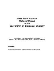 CBD First National Report - Saudi Arabia (English version)