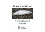 Ingar Aasestad.pdf - Norske Lakseelver