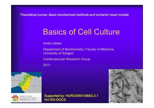 Basics of Cell Culture