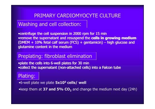 Basics of Cell Culture