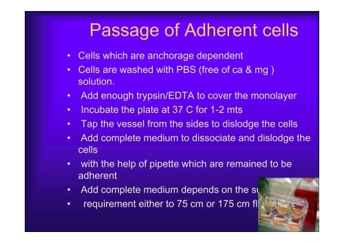 Basics of Cell Culture