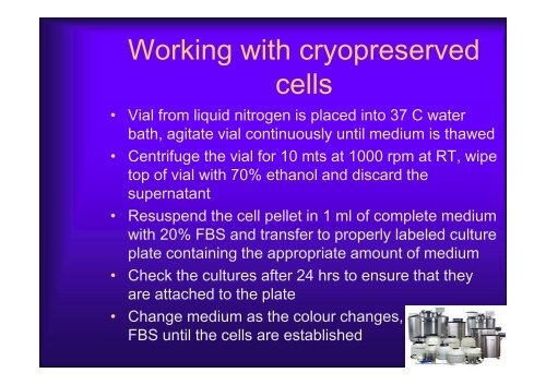 Basics of Cell Culture