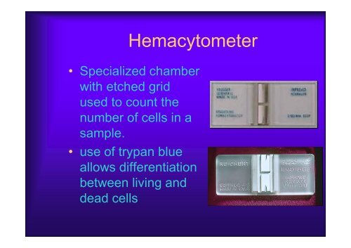 Basics of Cell Culture