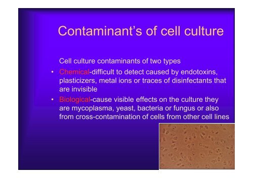 Basics of Cell Culture