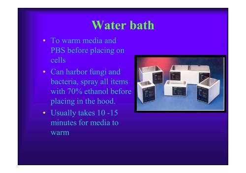 Basics of Cell Culture