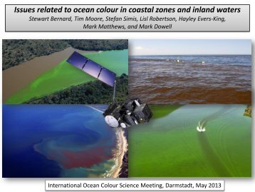 Issues related to ocean colour in coastal zones and inland waters