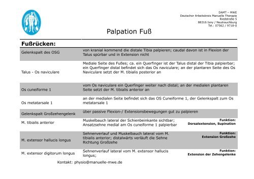 Palpation Fuß - MWE Physio