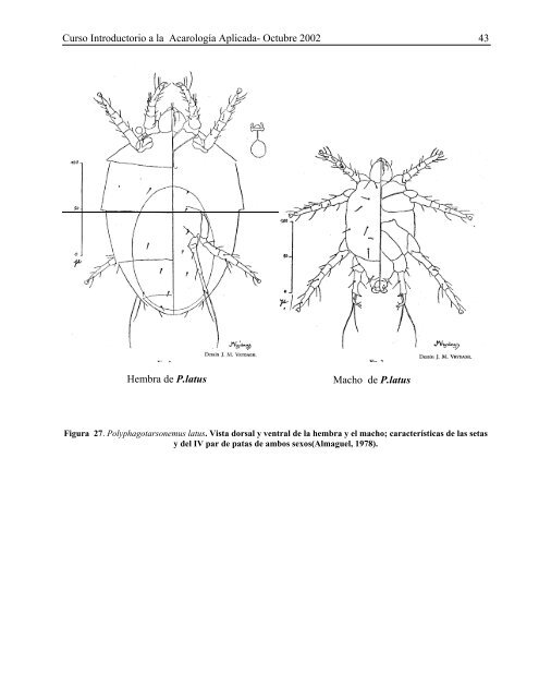 Curso Introductorio a la Acarología Aplicada - Instituto de ...