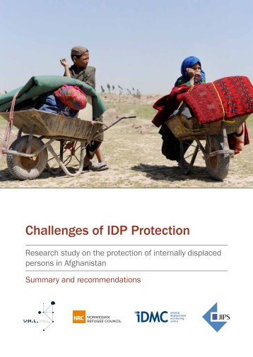Challenges of IDP Protection - Internal Displacement Monitoring ...