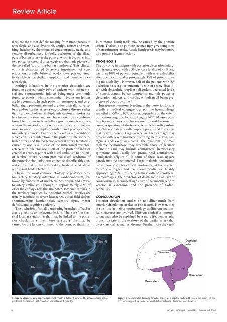 An Anatomico-Clinical Overview - Advances in Clinical ...